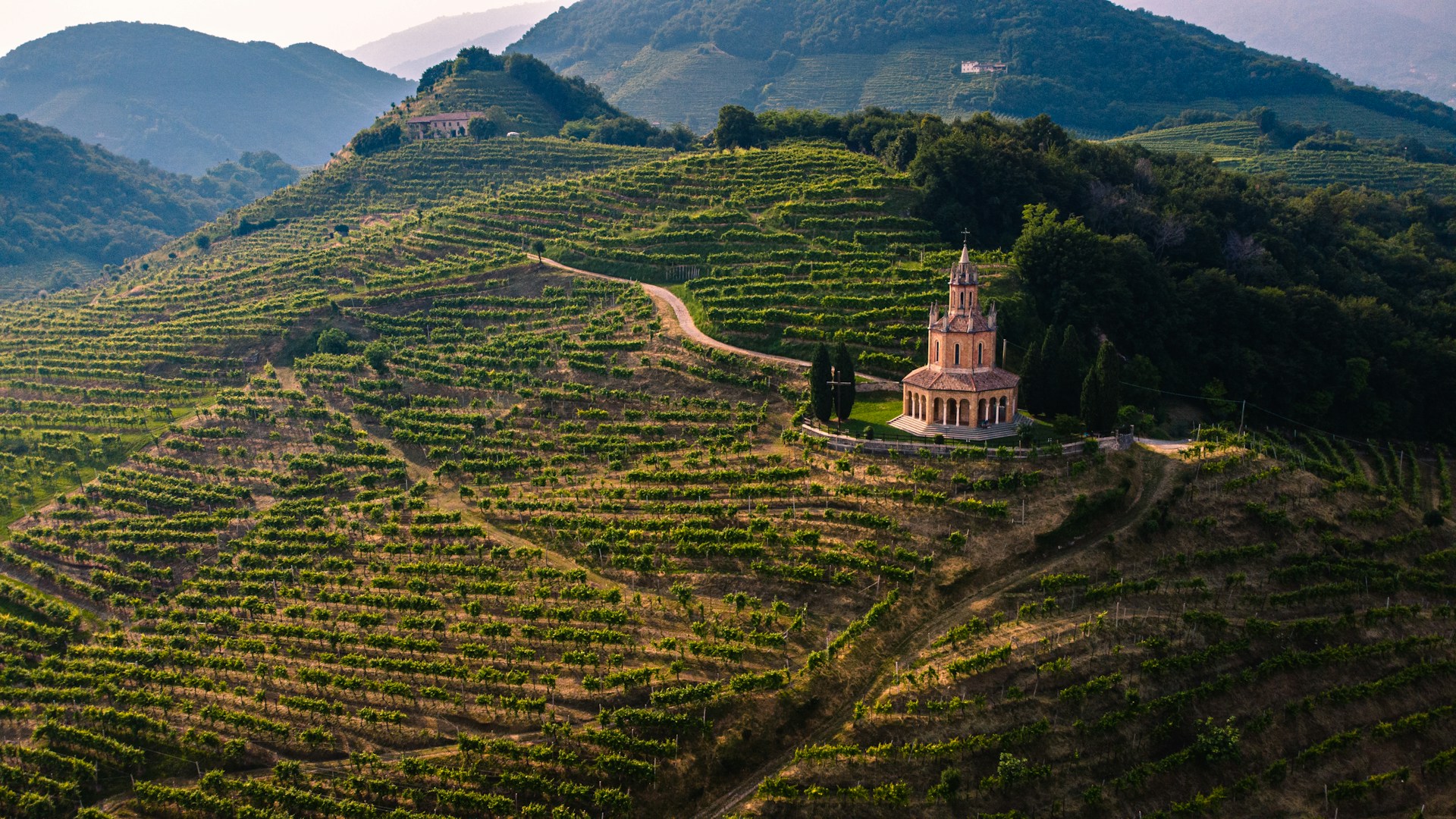 Tour Enogastronomico nelle Colline del Prosecco - Food and Wine Tour in the Prosecco Hills